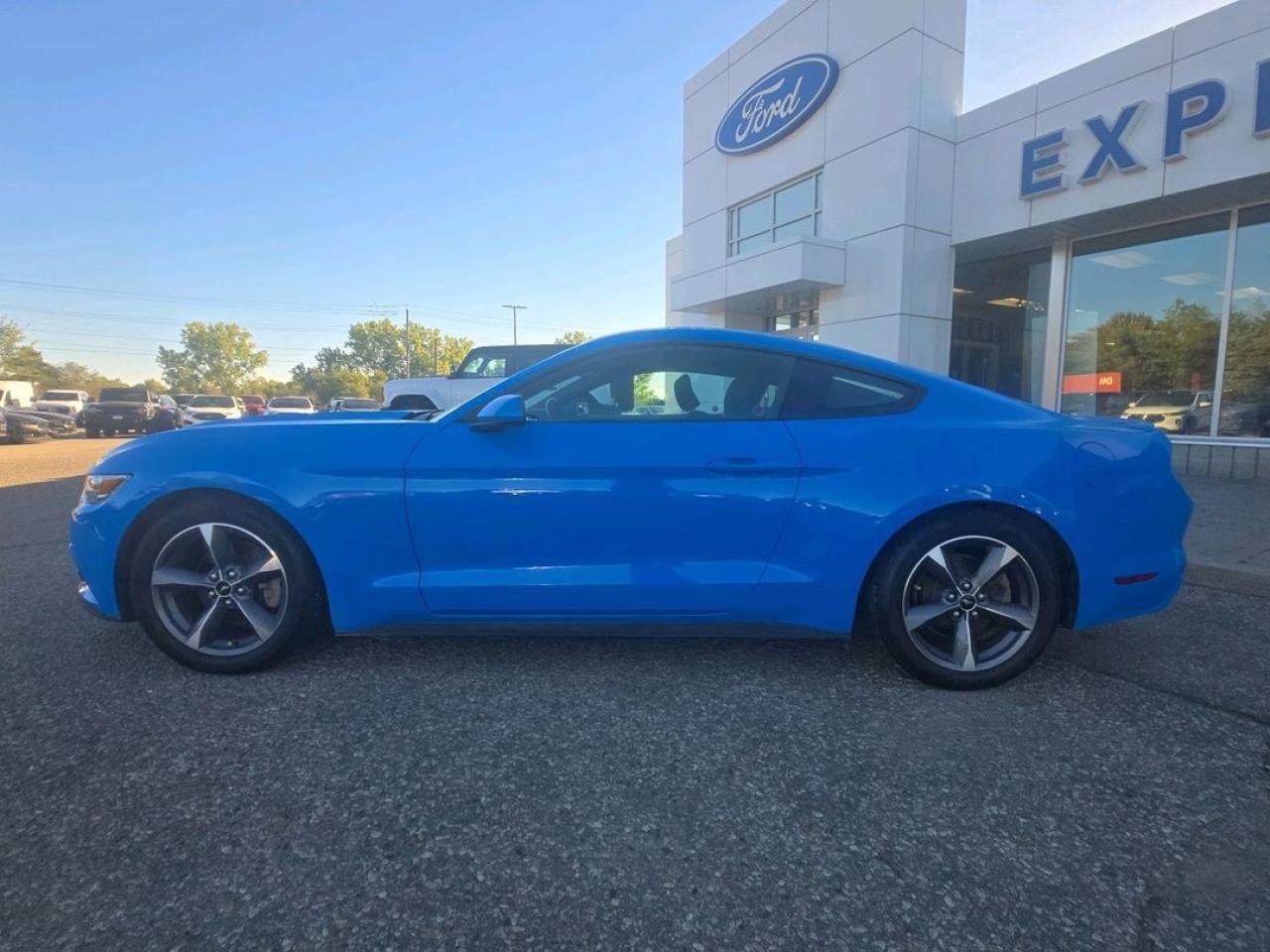 2017 Ford Mustang EcoBoost Photo5