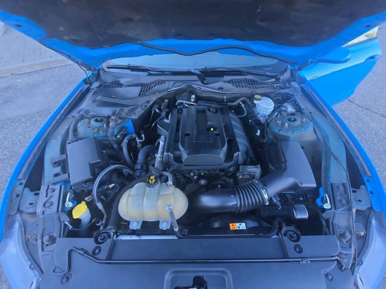 2017 Ford Mustang EcoBoost Photo5