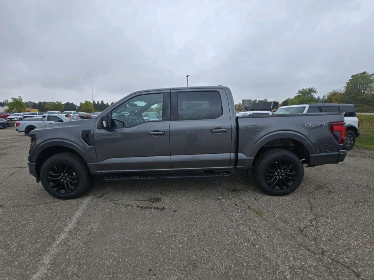 2025 Ford F-150 XLT Photo