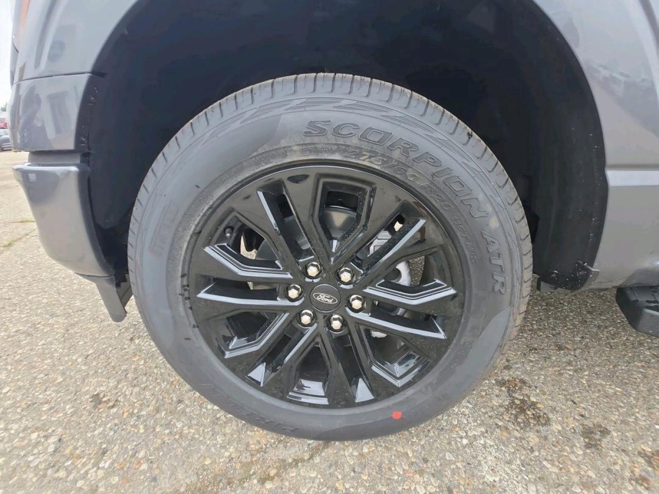 2025 Ford F-150 XLT Photo