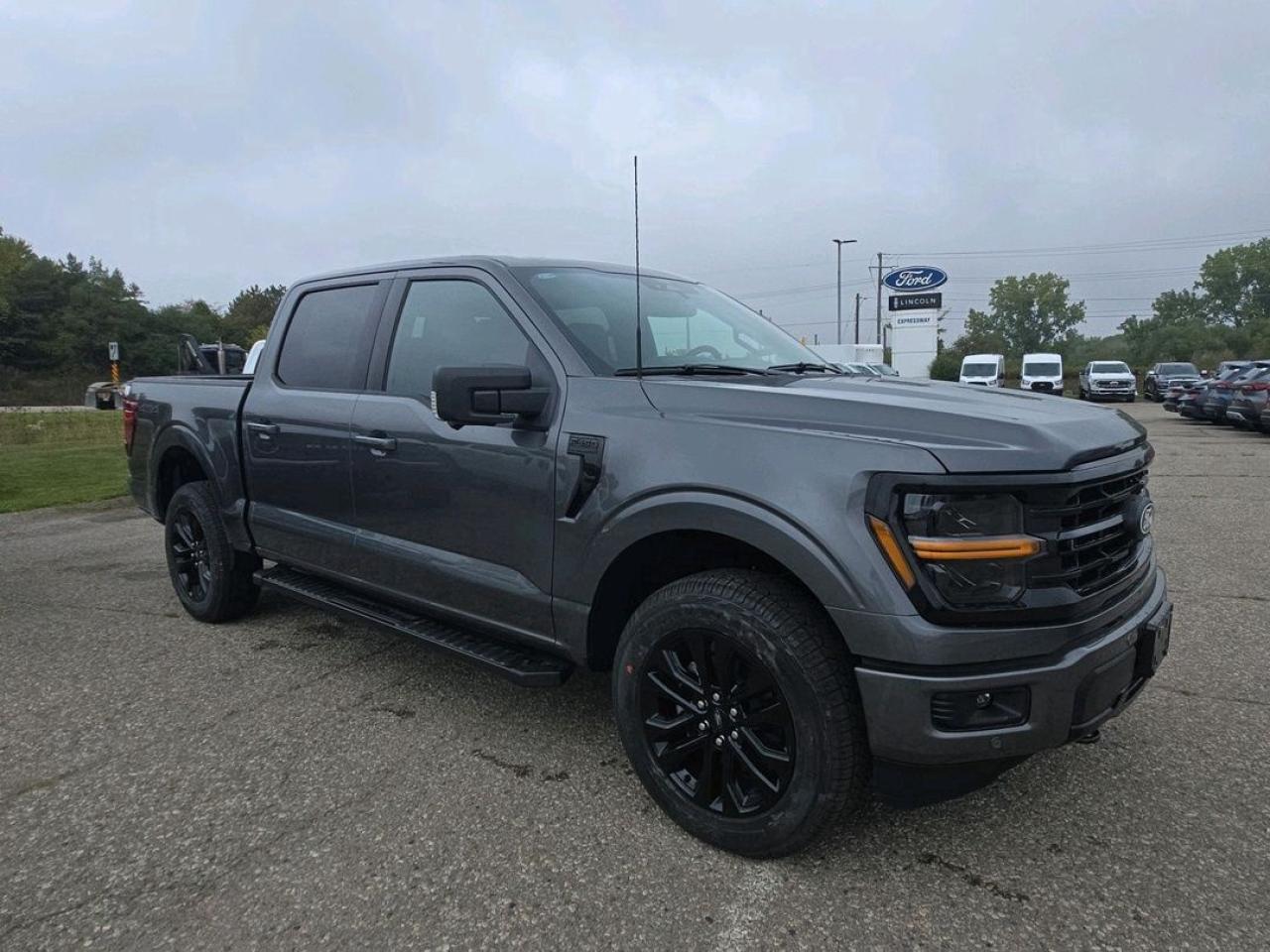 2025 Ford F-150 XLT Photo2