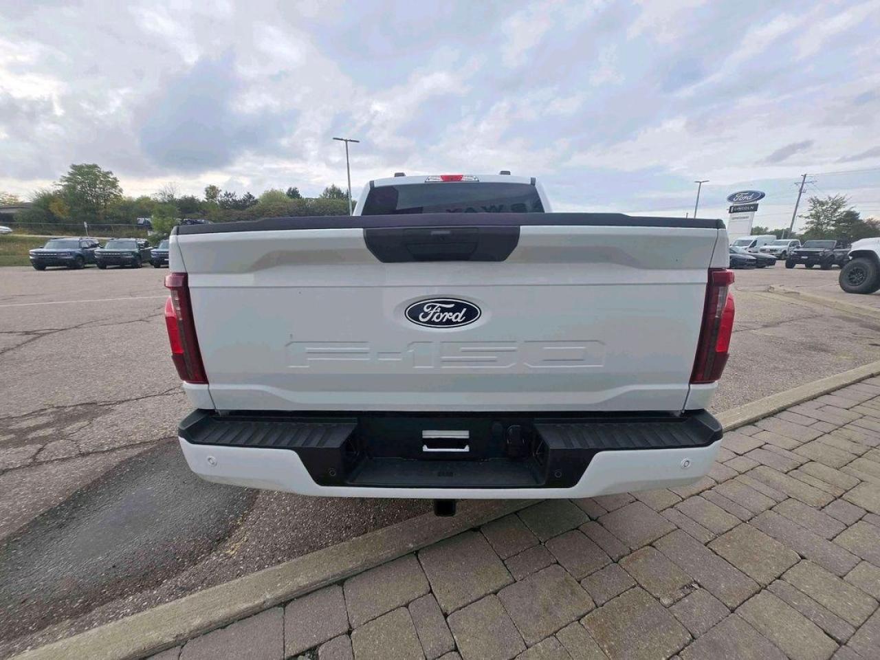 2025 Ford F-150 STX, 18" BLACK ALLOYS, BLIND SPOT INFO Photo5