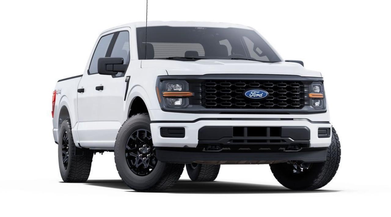 2025 Ford F-150 STX, 18" BLACK ALLOYS, BLIND SPOT INFO Photo5