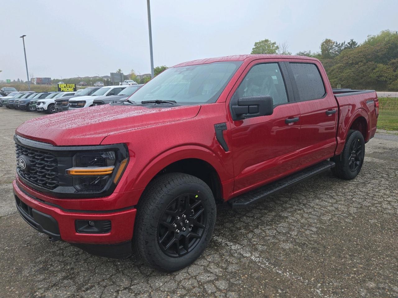 New 2025 Ford F-150 STX for sale in Stratford, ON