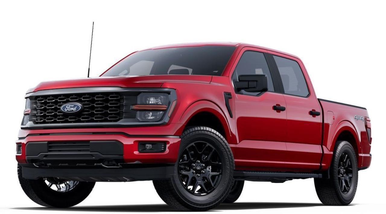 2025 Ford F-150 STX Photo5