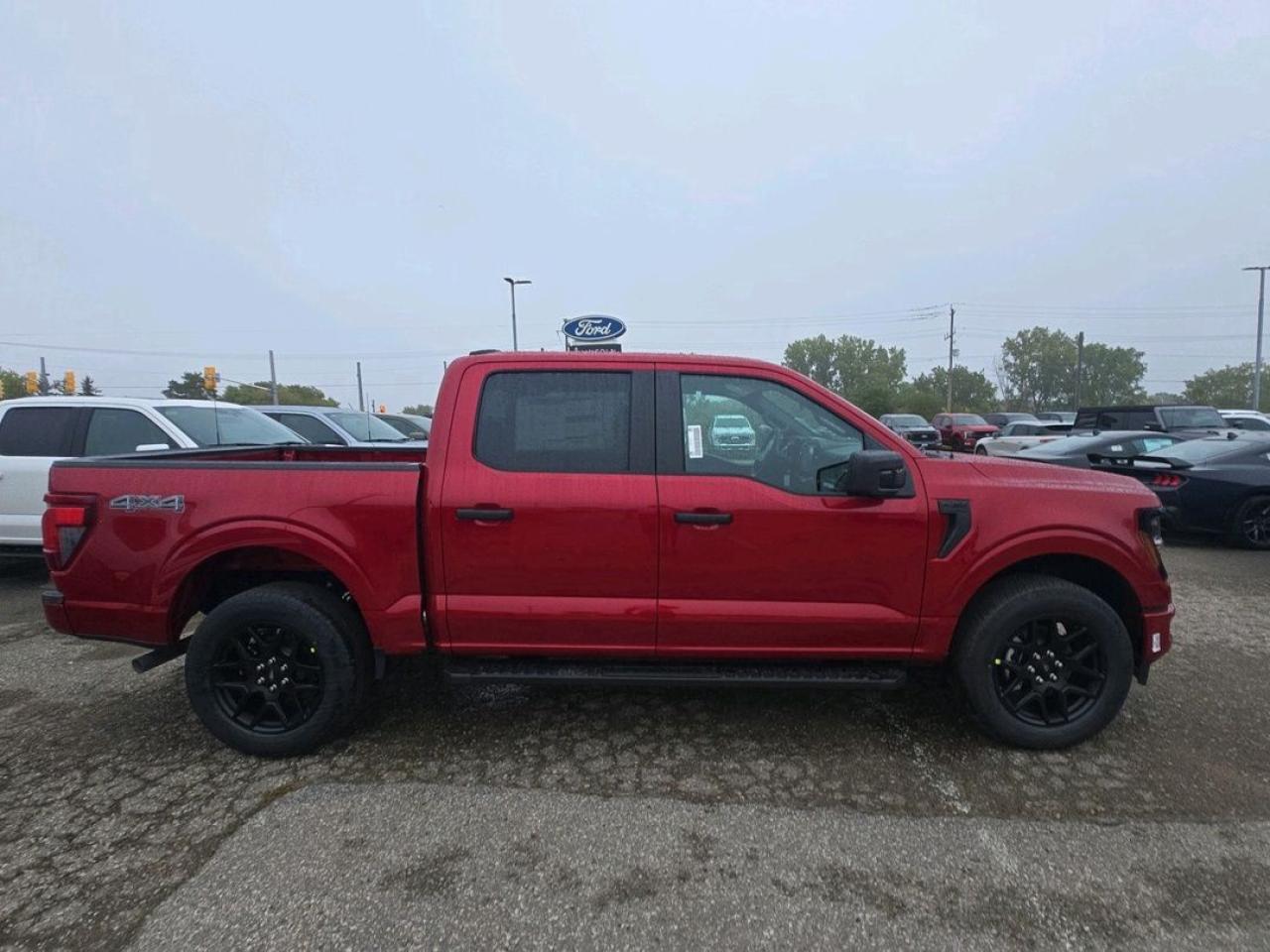 2025 Ford F-150 STX Photo5