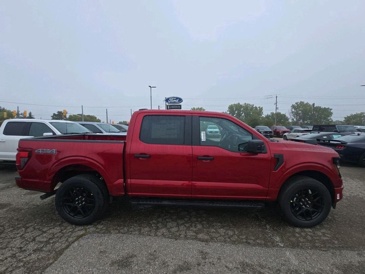 2025 Ford F-150 STX Photo5