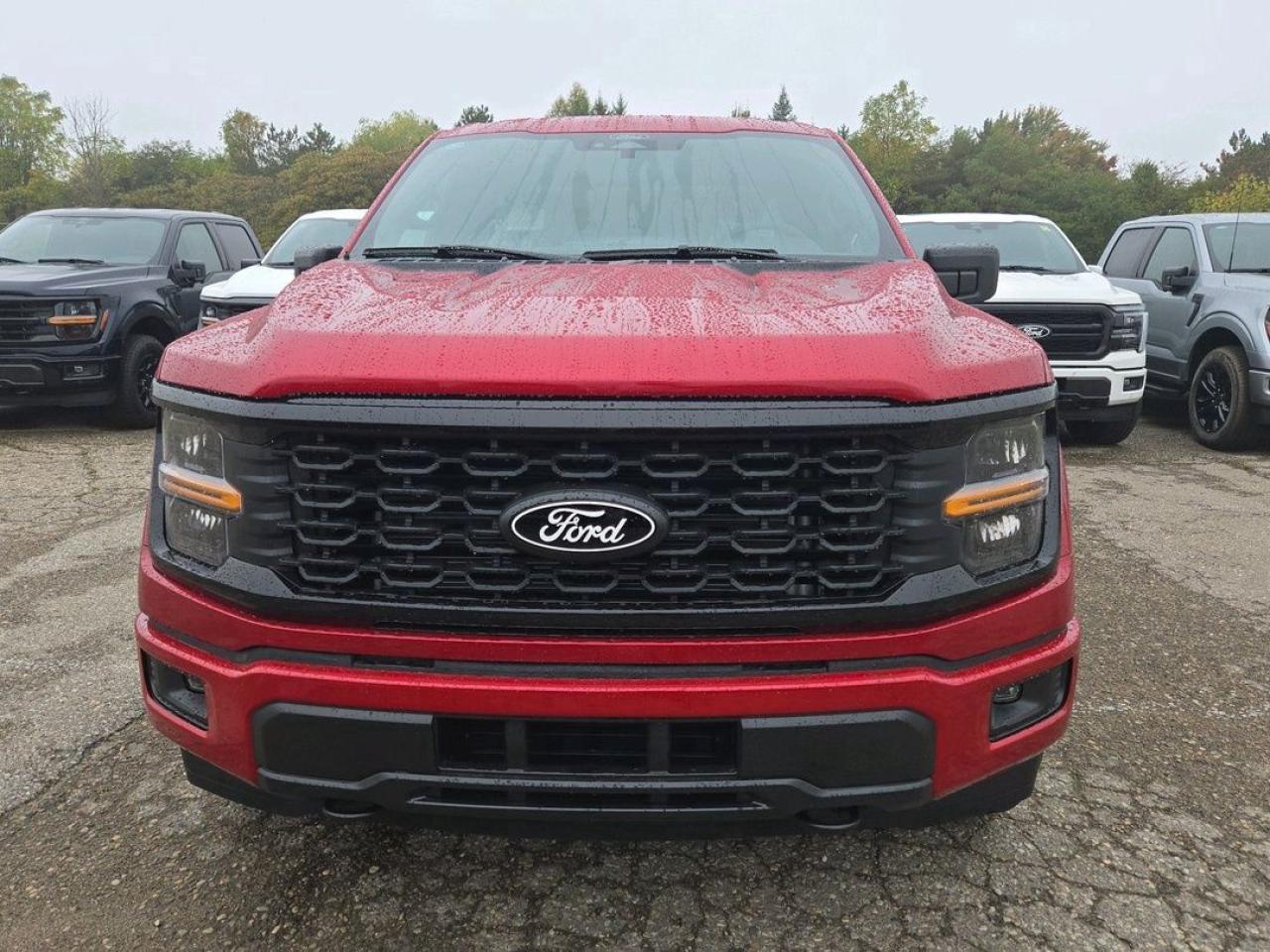 2025 Ford F-150 STX Photo5