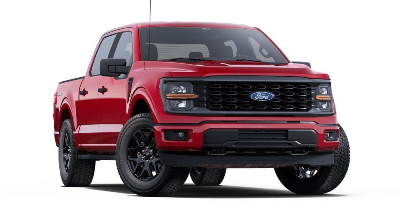 2025 Ford F-150 STX Photo5