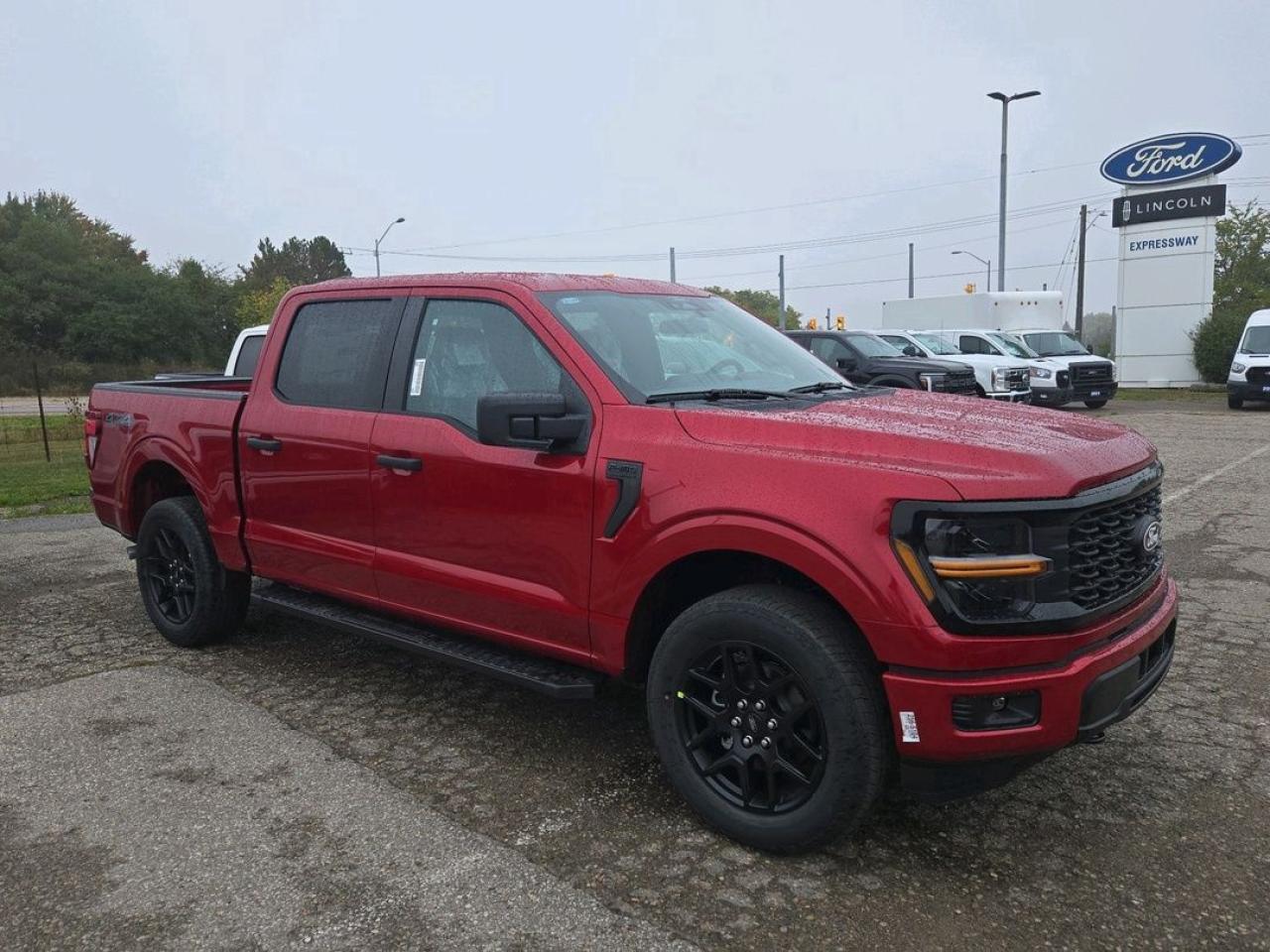 2025 Ford F-150 STX Photo4