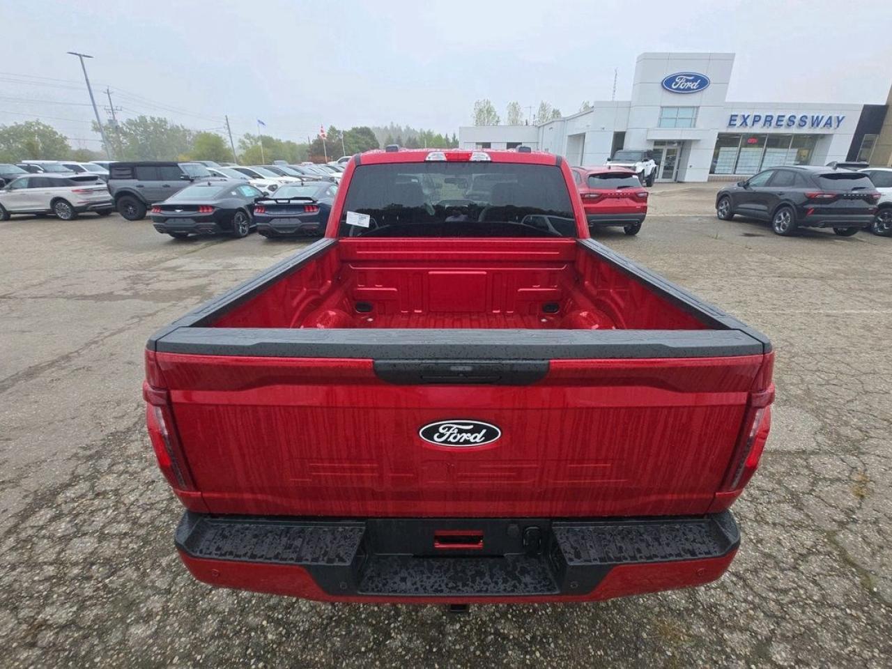 2025 Ford F-150 STX Photo5