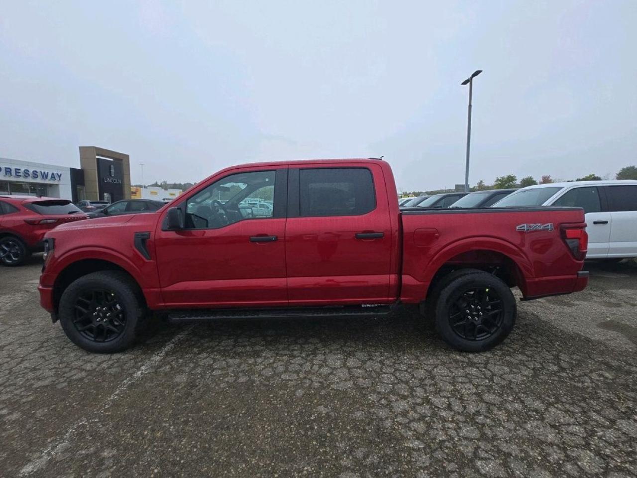 2025 Ford F-150 STX Photo5