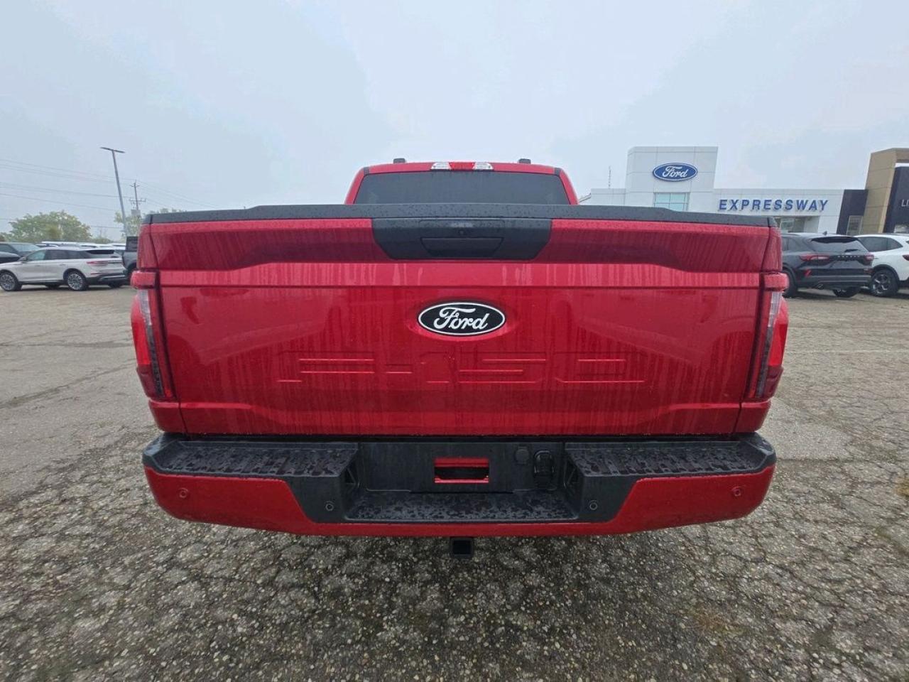 2025 Ford F-150 STX Photo5