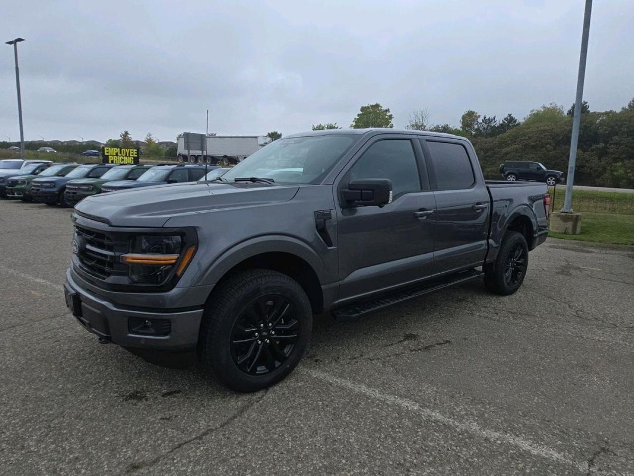 New 2025 Ford F-150 XLT for sale in Stratford, ON