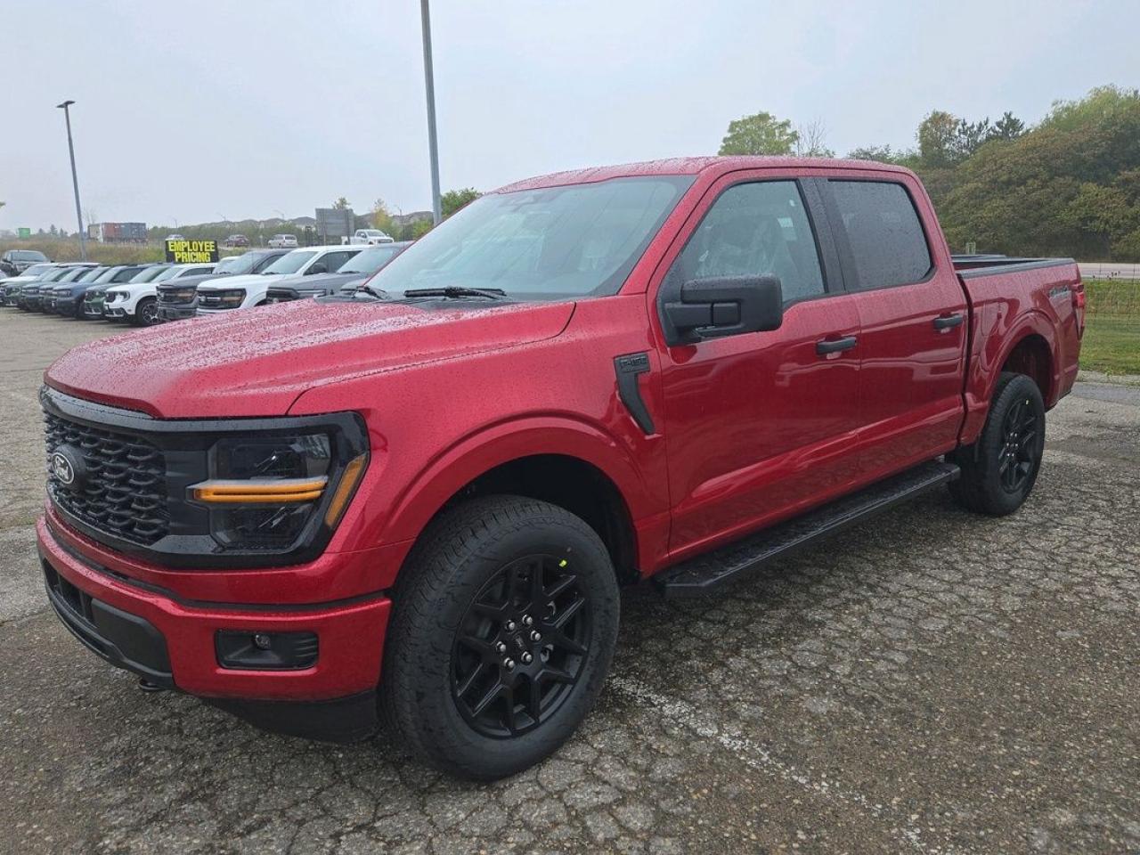 New 2025 Ford F-150 STX for sale in Stratford, ON