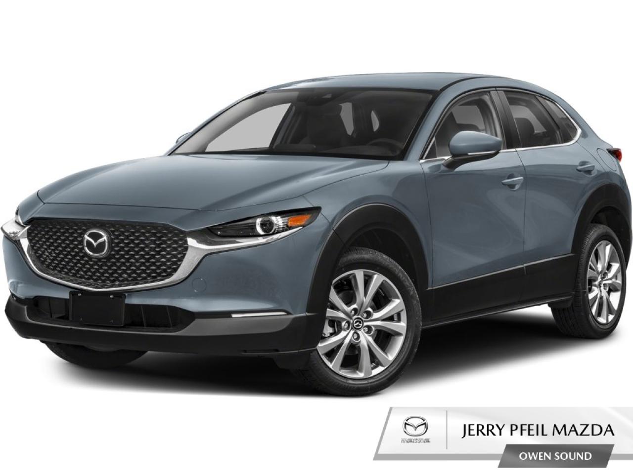 2025 Mazda CX-30 GS Photo0