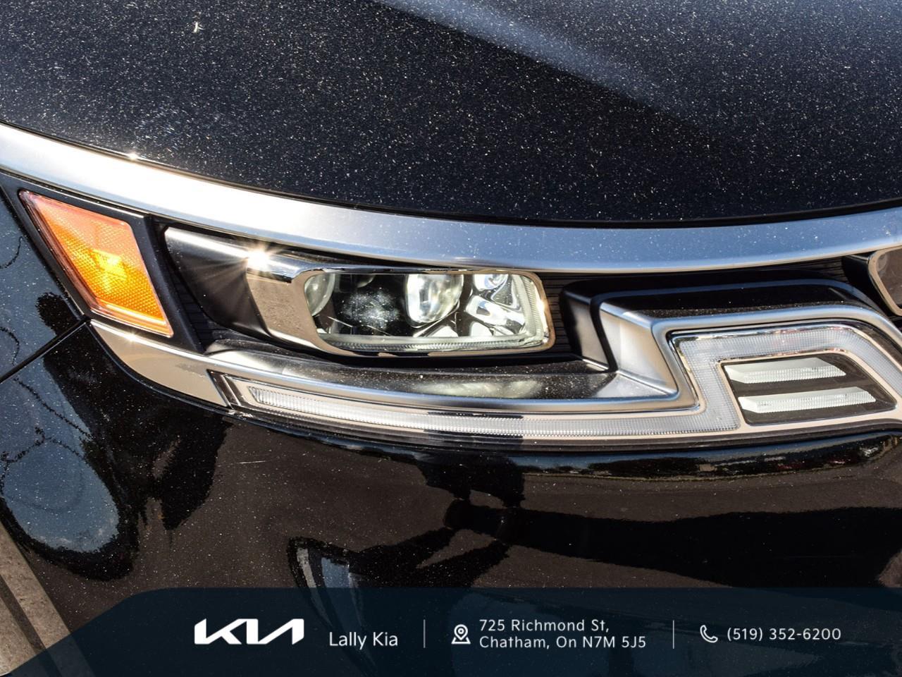 2023 Kia Carnival SX New Arrival | 7 Passenger | Clean CarFax | Leather | Roof Photo