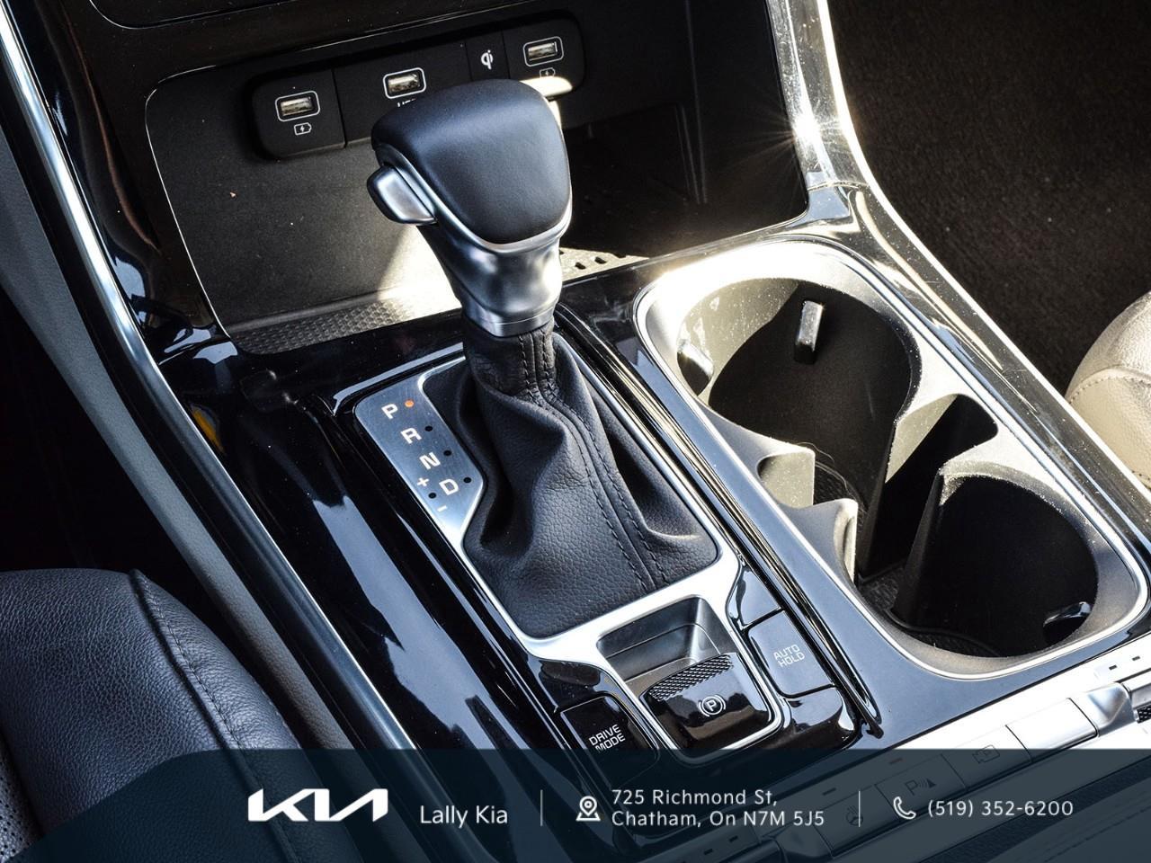 2023 Kia Carnival SX New Arrival | 7 Passenger | Clean CarFax | Leather | Roof Photo