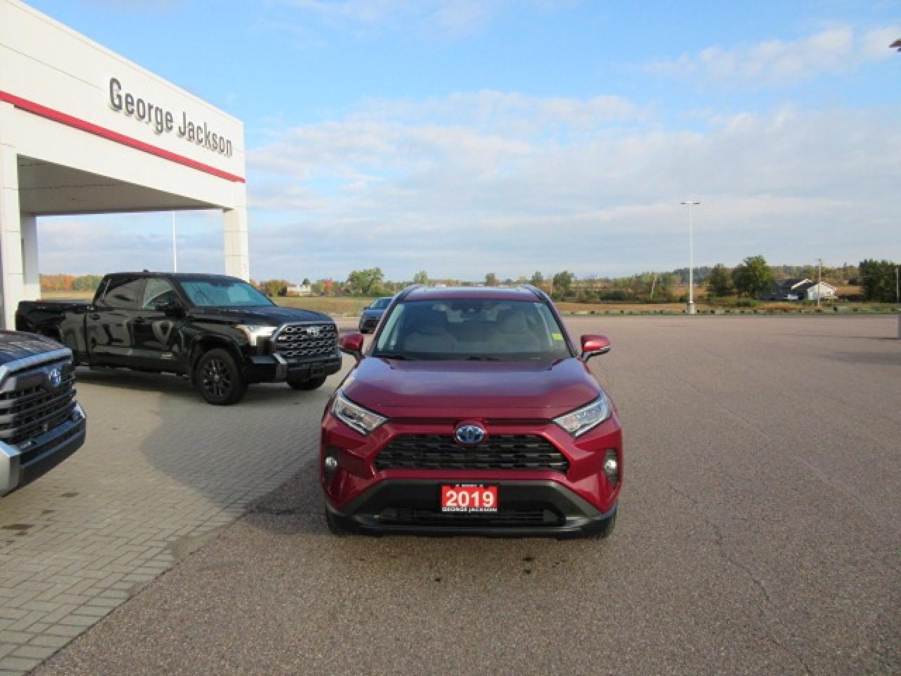 2019 Toyota RAV4 Hybrid XLE Photo