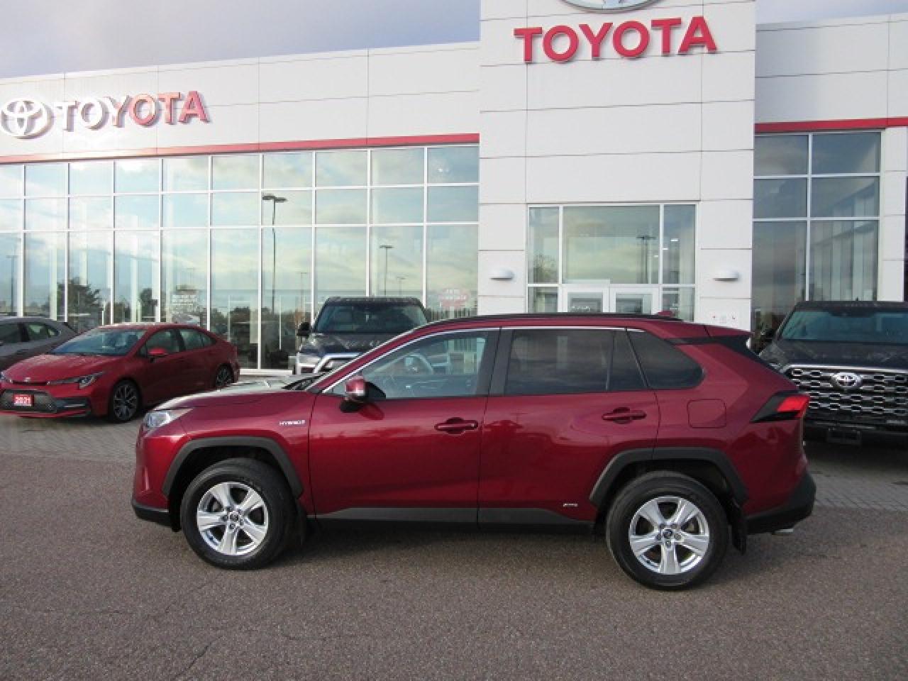 2019 Toyota RAV4 Hybrid XLE Photo1