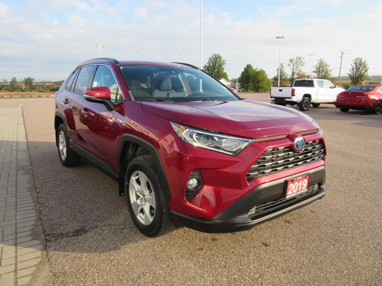 2019 Toyota RAV4 Hybrid XLE Photo