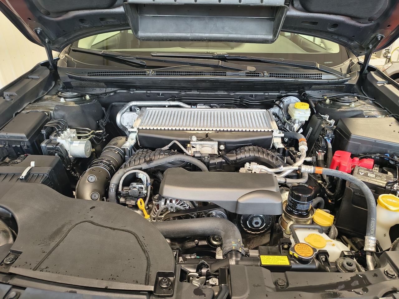 2025 Subaru Outback Limited XT Photo0