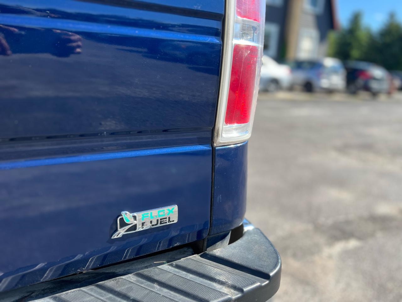 2010 Ford F-150 4WD SuperCab 145" V8 Photo