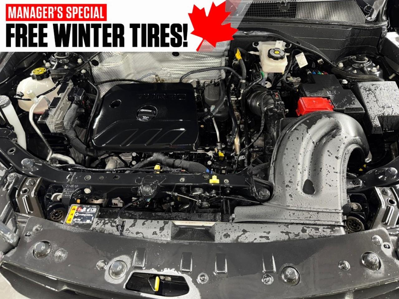 2023 Chevrolet TrailBlazer AWD 4dr LS Photo