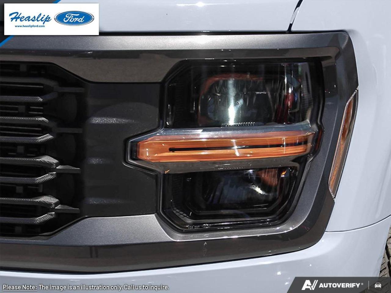 2025 Ford F-150 STX Photo5