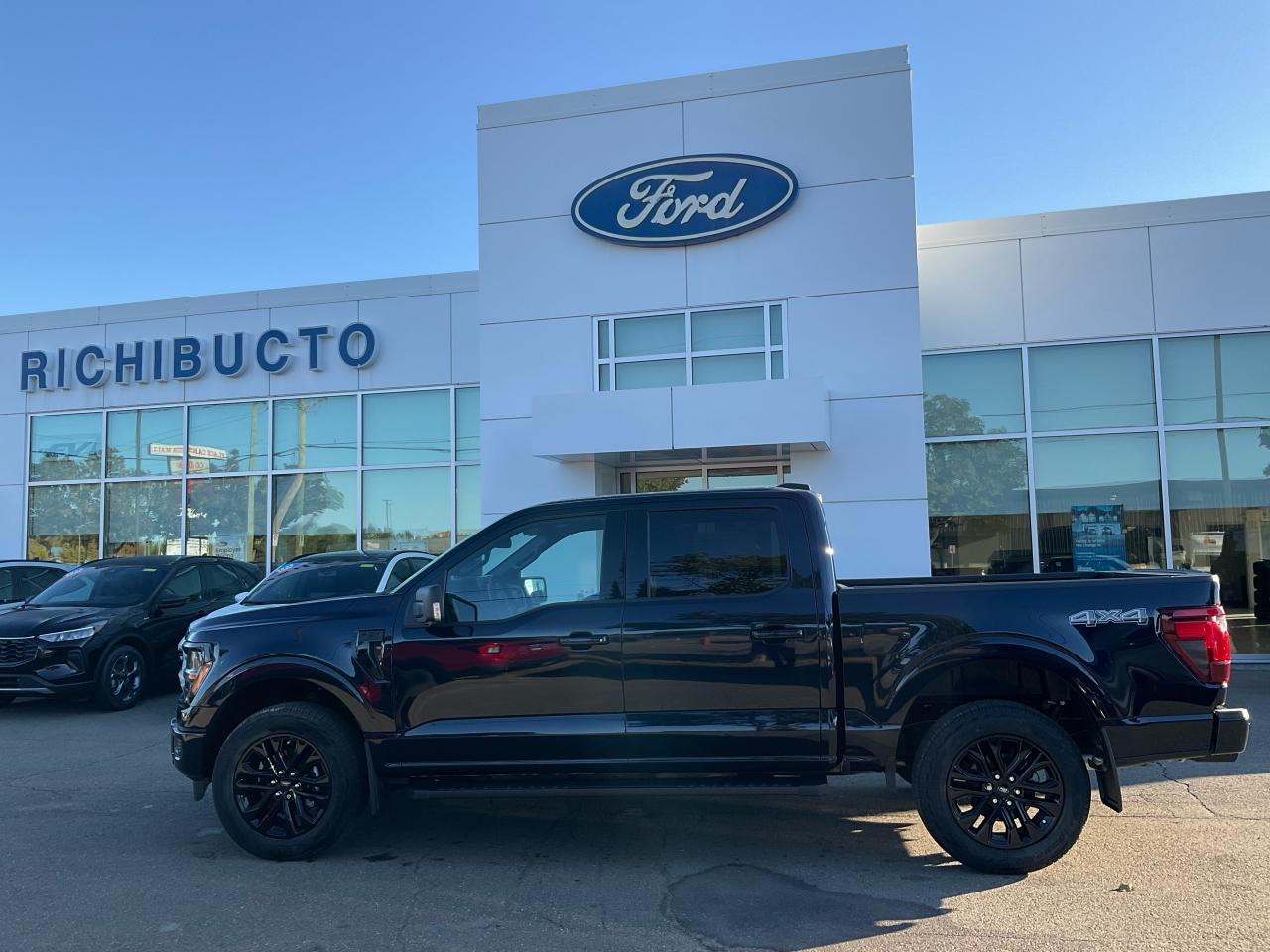 2025 Ford F-150 XLT Photo5