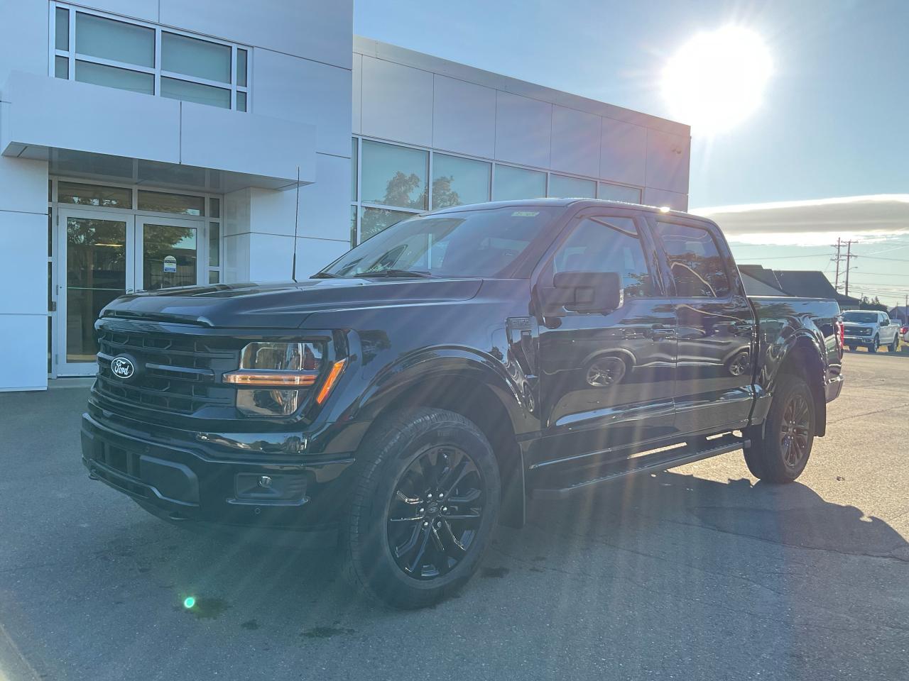 2025 Ford F-150 XLT Photo0