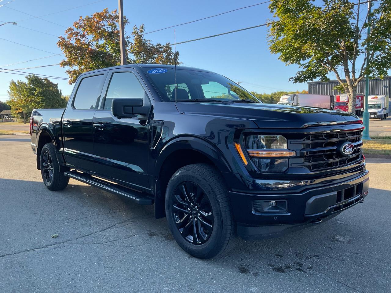 2025 Ford F-150 XLT Photo2