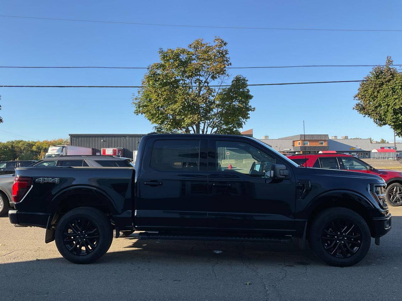 2025 Ford F-150 XLT Photo3