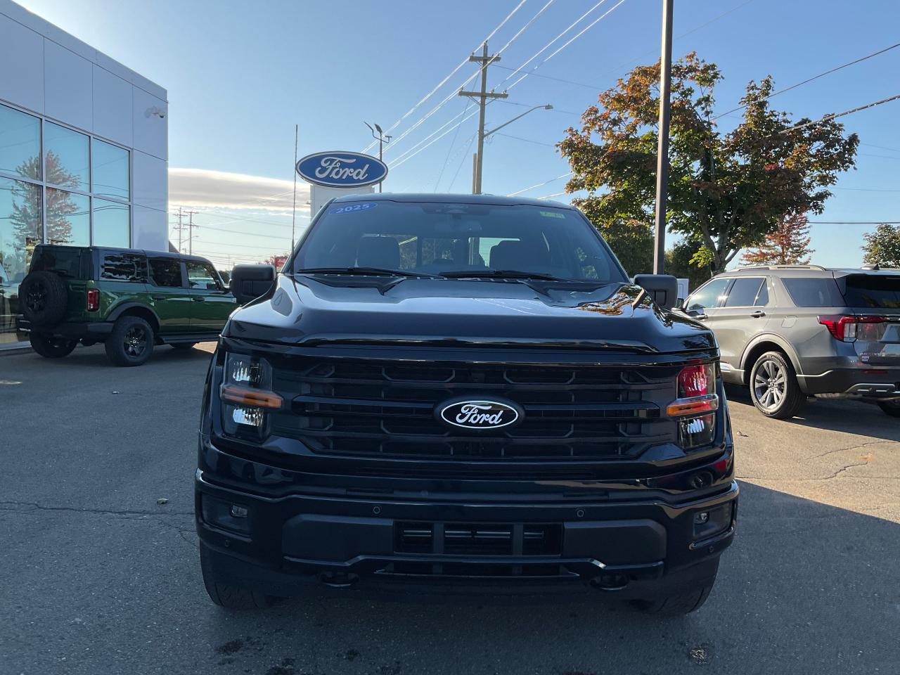 2025 Ford F-150 XLT Photo