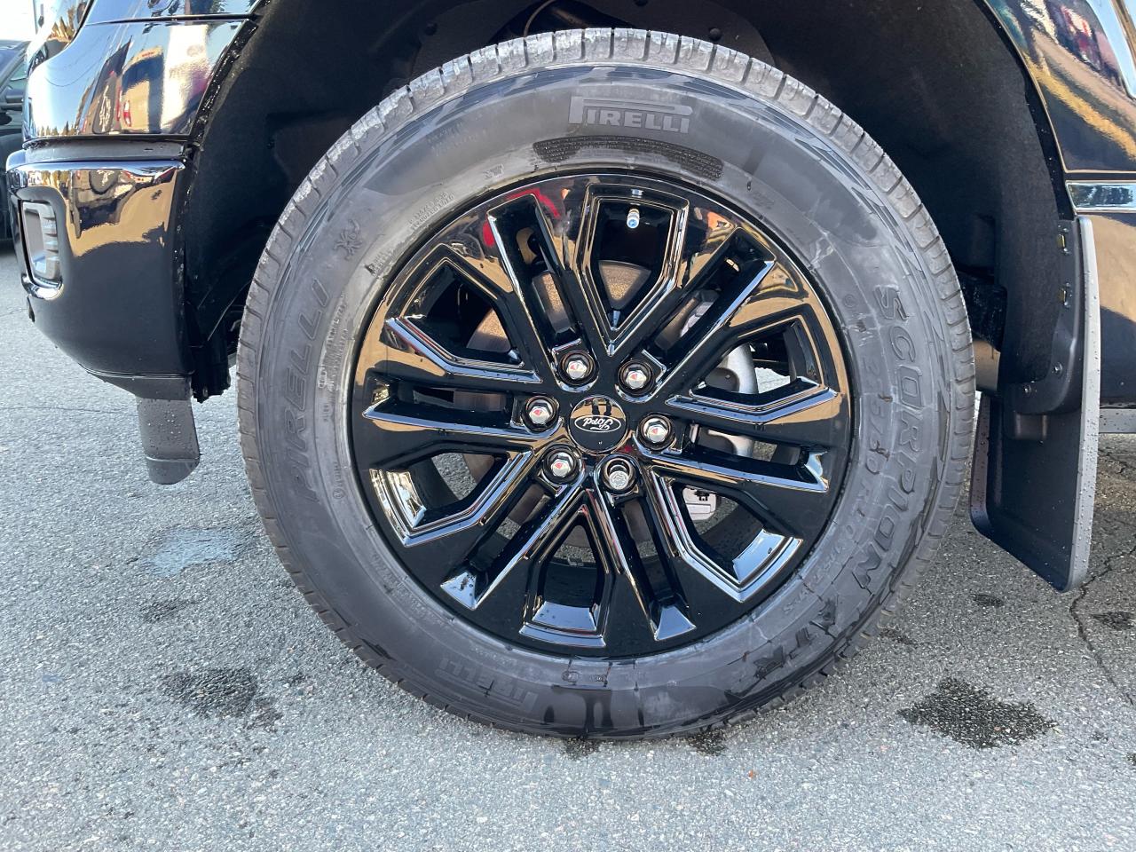 2025 Ford F-150 XLT Photo5