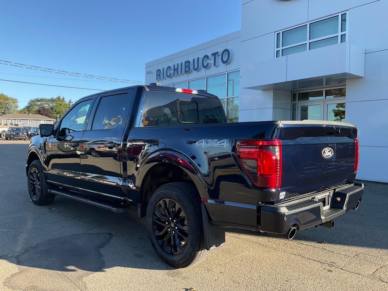 2025 Ford F-150 XLT Photo5