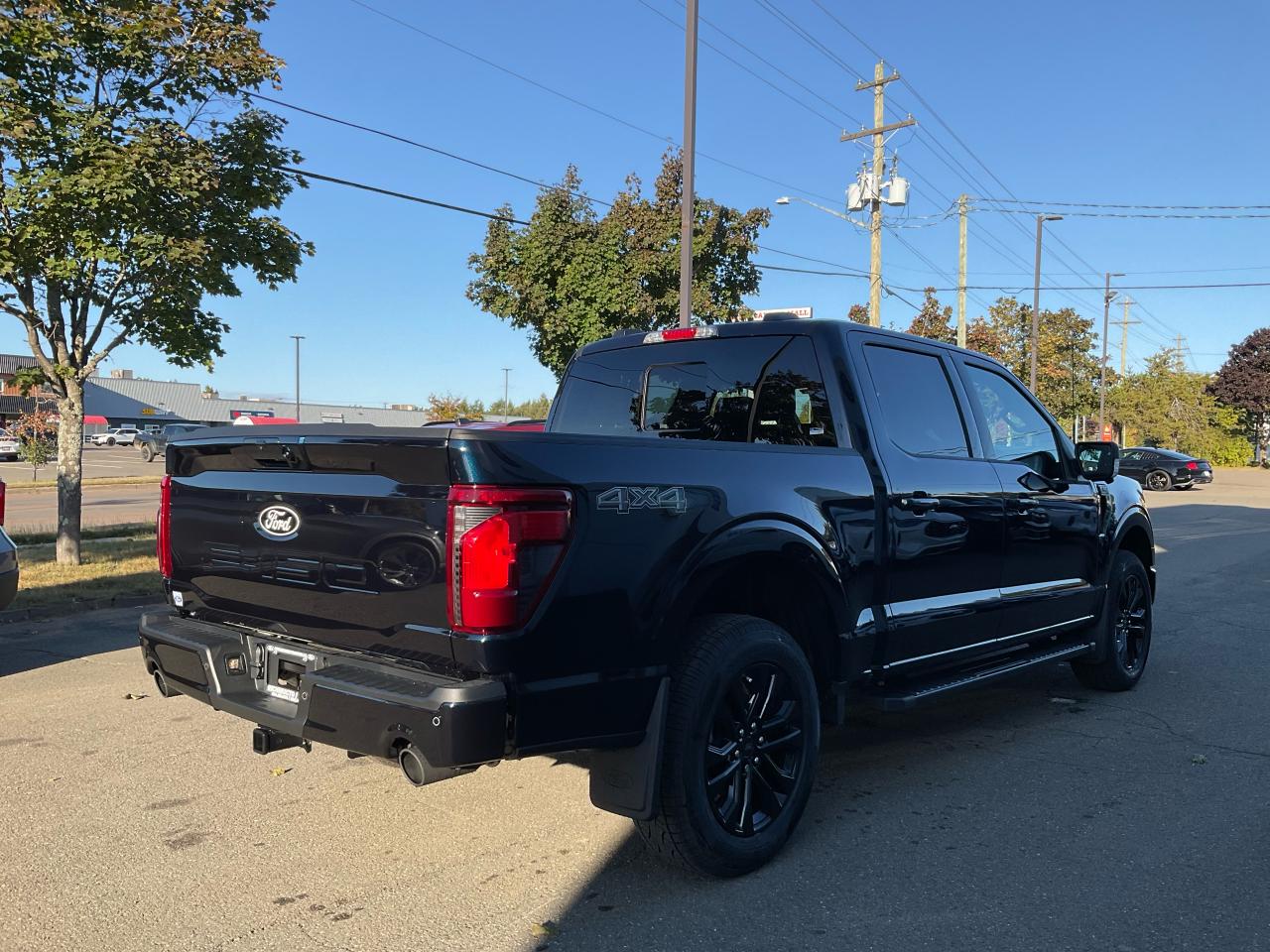 2025 Ford F-150 XLT Photo5