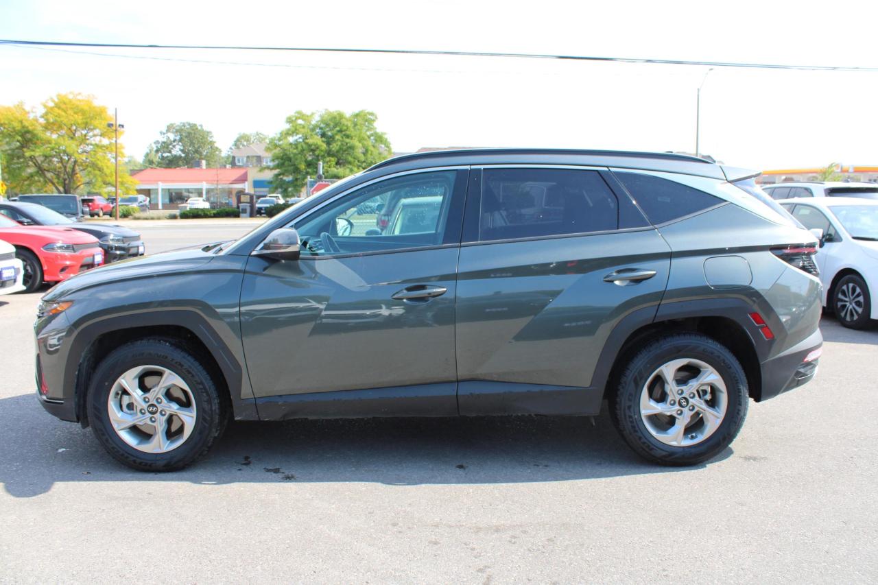 2024 Hyundai Tucson TREND AWD - Photo #17