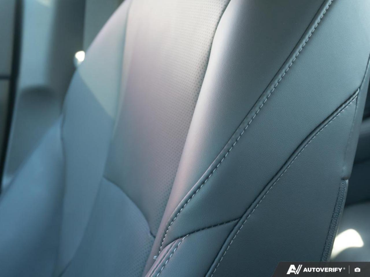 2025 Honda Accord Hybrid Photo