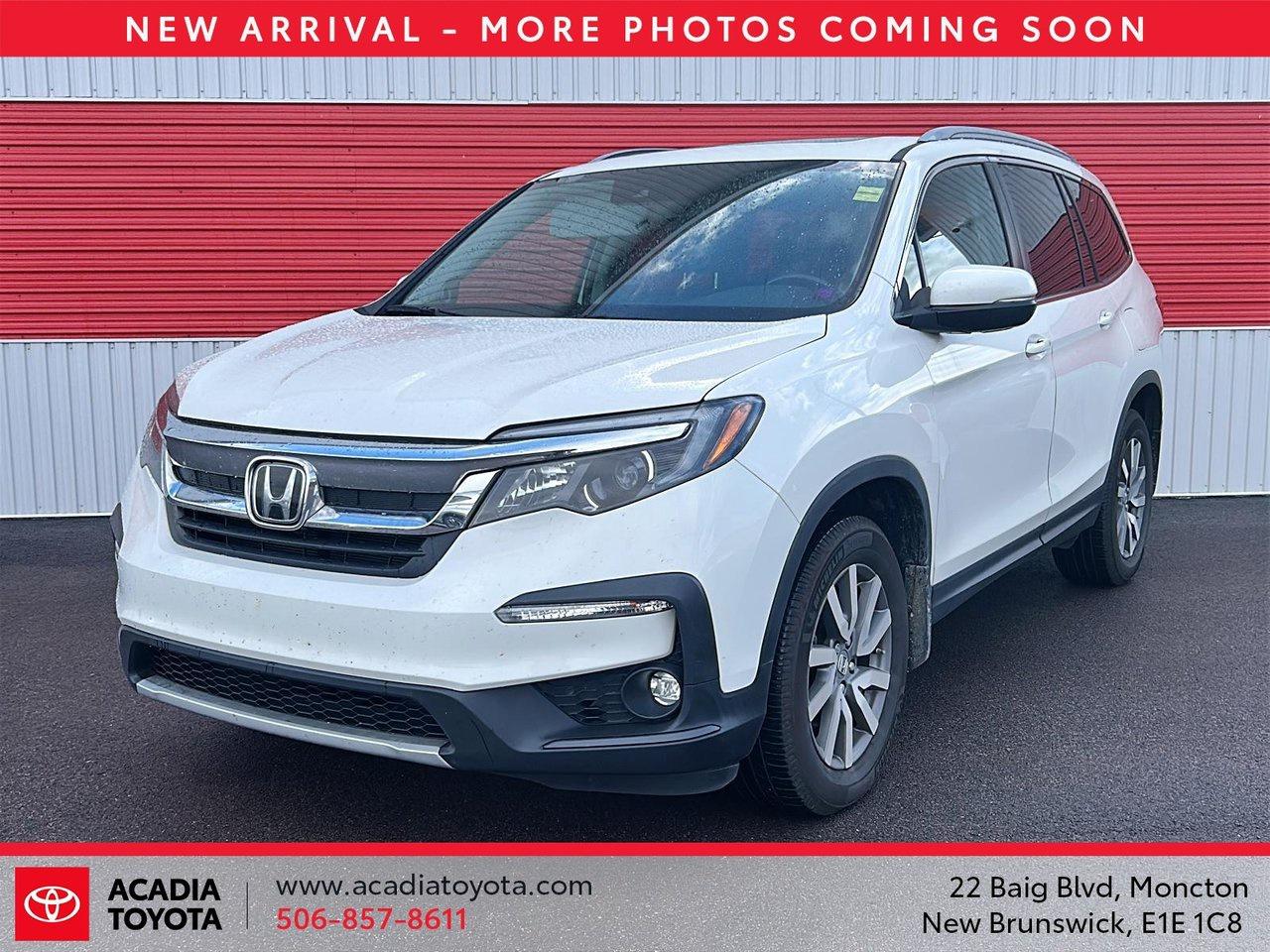 Used 2019 Honda Pilot EX-L NAVI for sale in Moncton, NB
