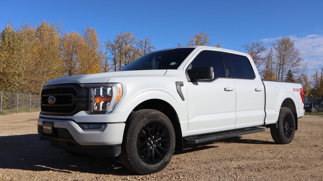 2021 Ford F-150 XLT Photo