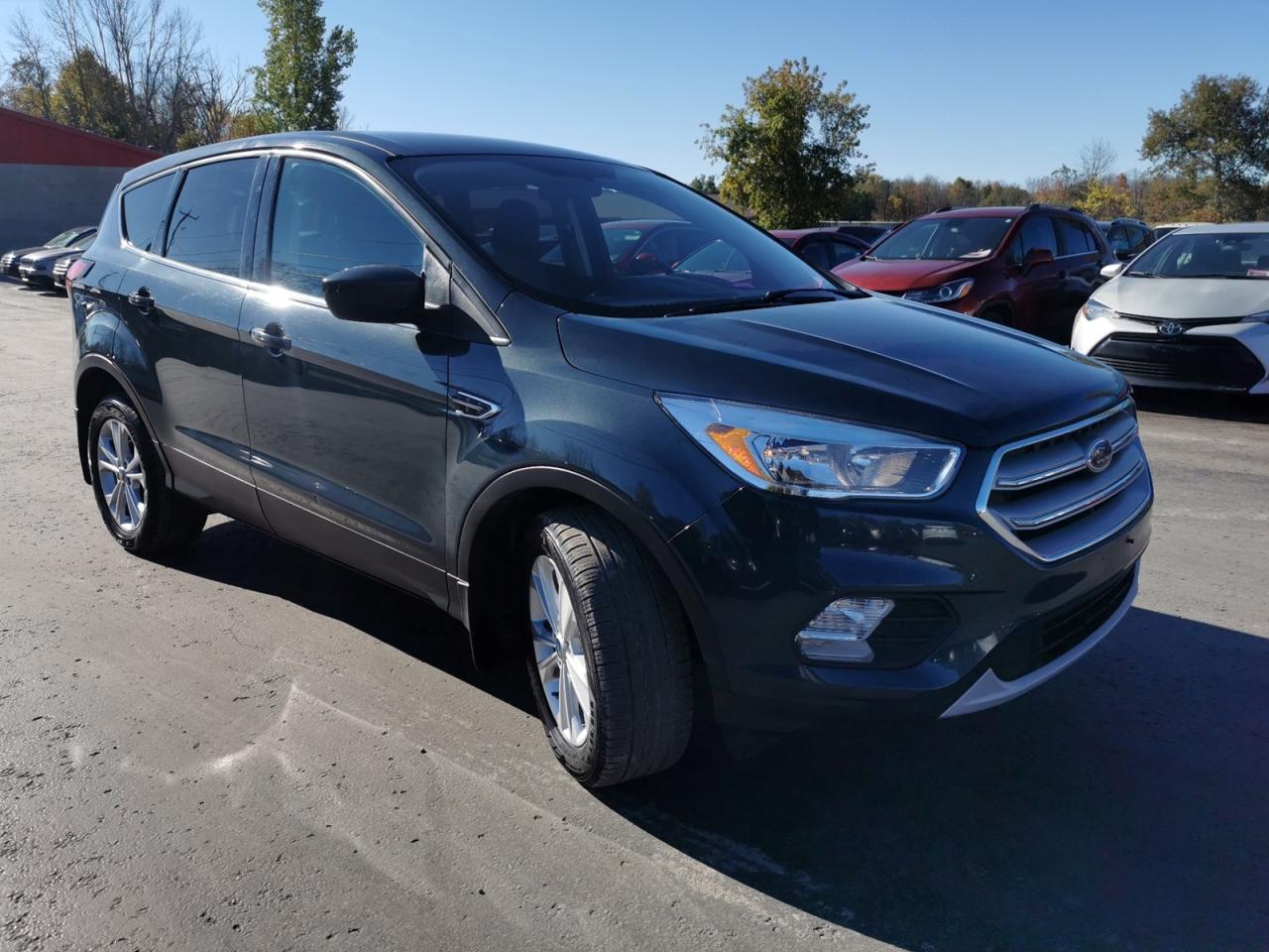 2019 Ford Escape SE 4WD - Photo #7