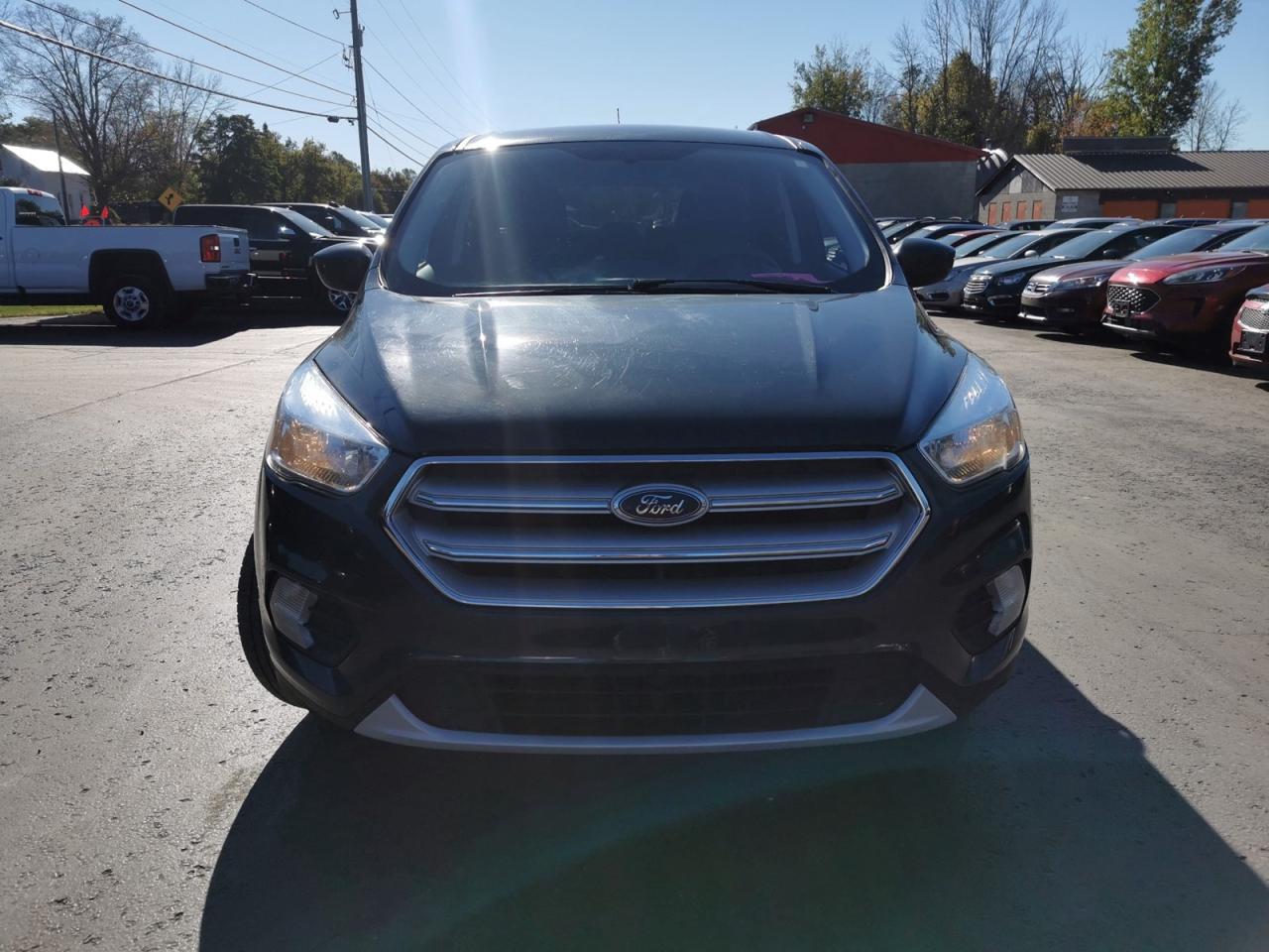 2019 Ford Escape SE 4WD - Photo #8
