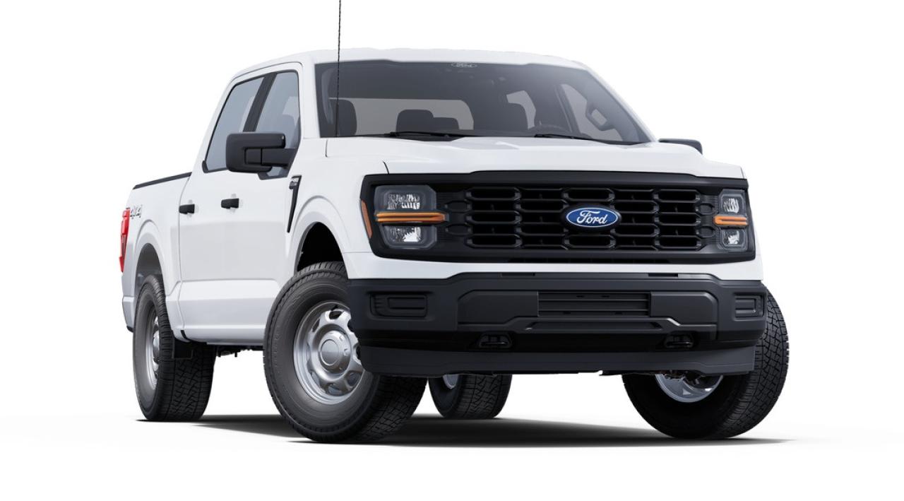 2025 Ford F-150 STX Photo