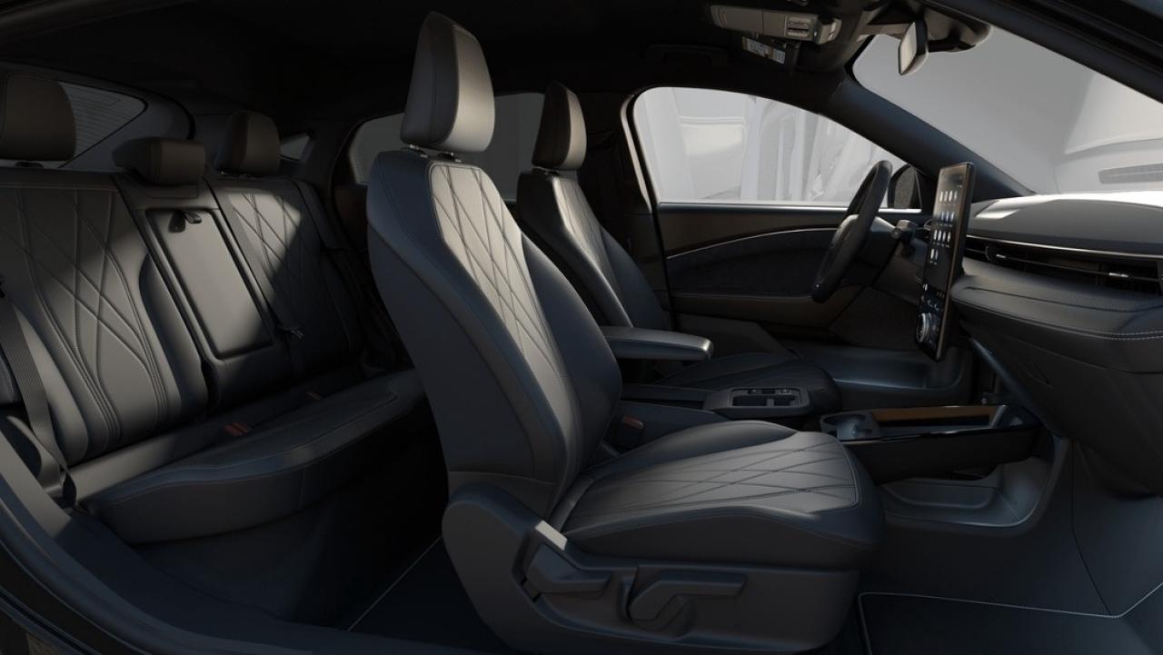 2025 Ford F-150 XLT Photo