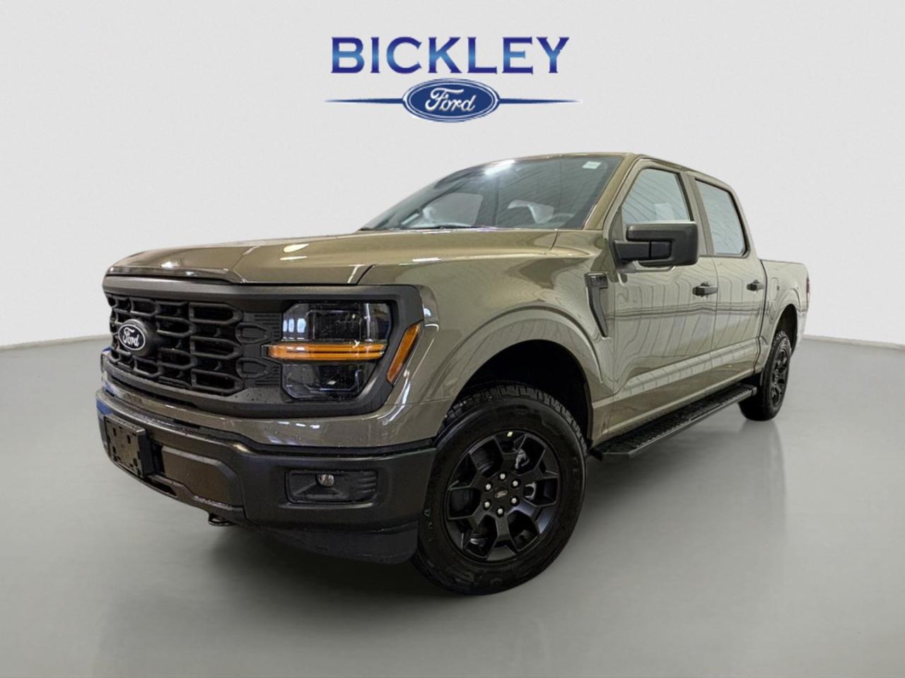 New 2025 Ford F-150 STX for sale in Huntsville, ON