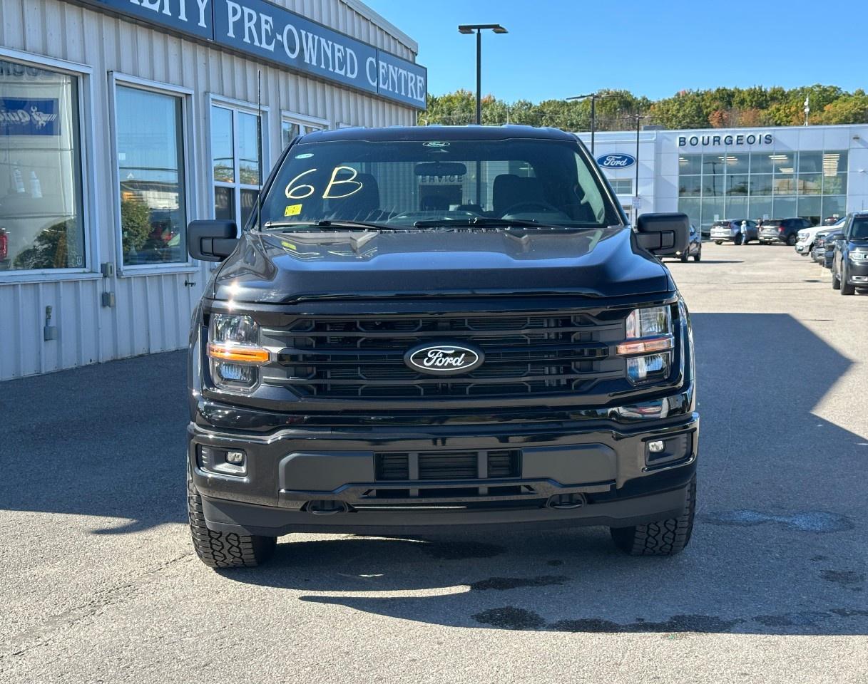 2025 Ford F-150 XLT 4WD SuperCrew 5.5' Box Photo