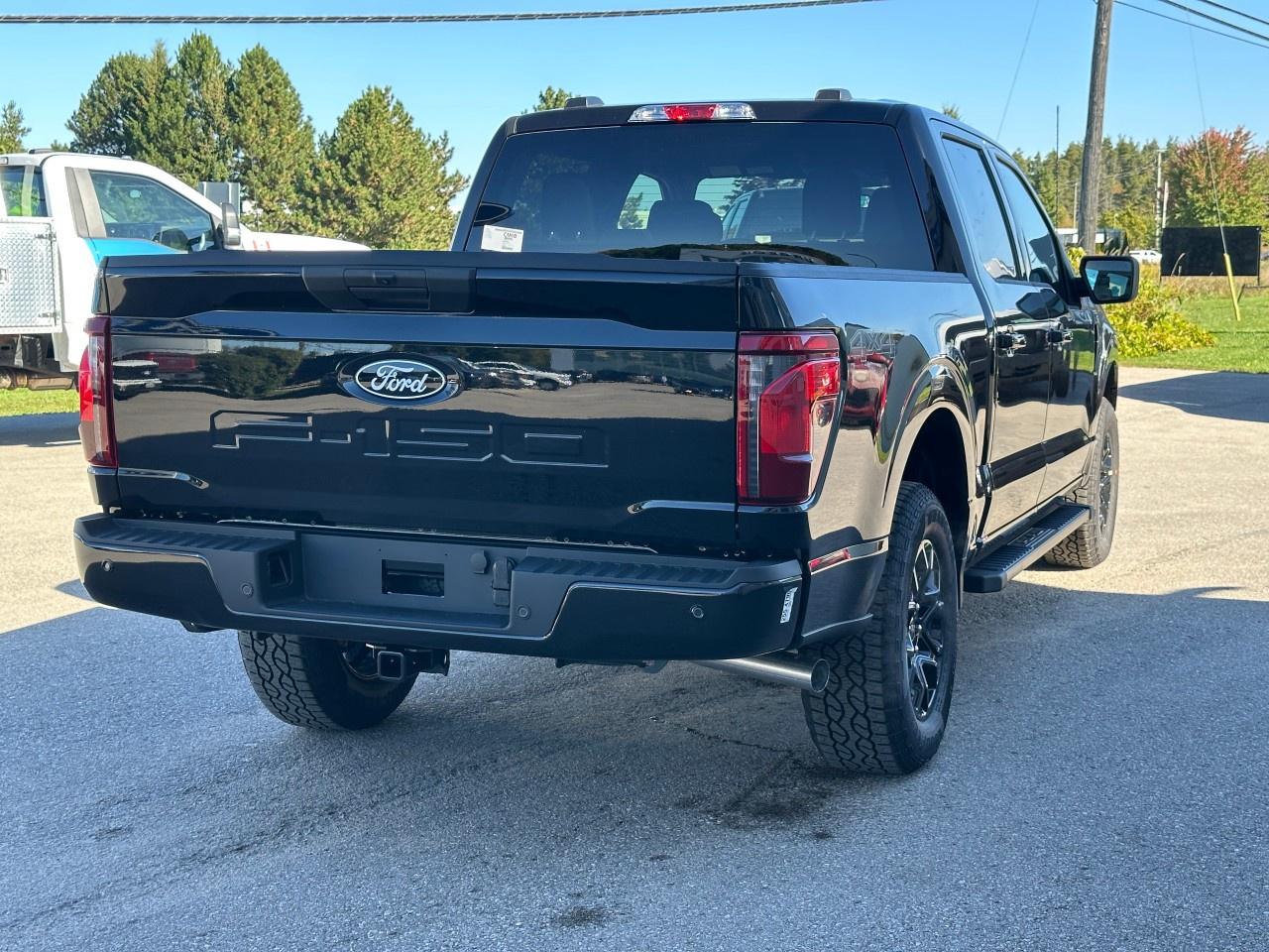 2025 Ford F-150 XLT 4WD SuperCrew 5.5' Box Photo