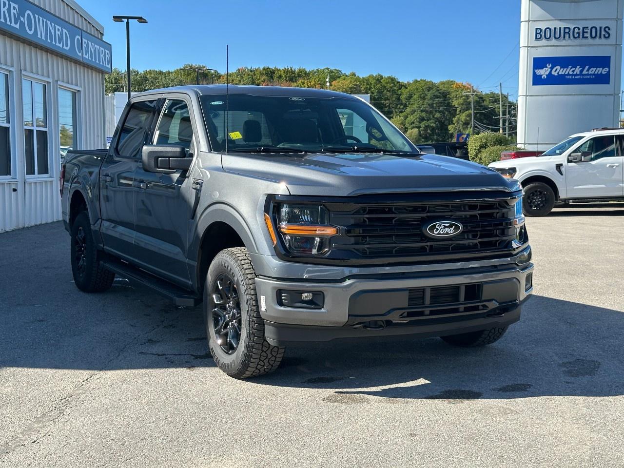 2025 Ford F-150 XLT 4WD SuperCrew 5.5' Box Photo