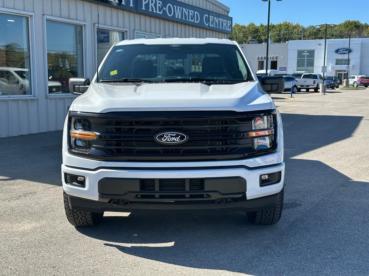 2025 Ford F-150 XLT 4WD SuperCrew 5.5' Box Photo2